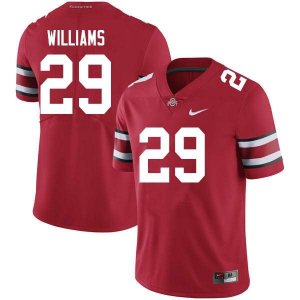 NCAA Ohio State Buckeyes Men's #29 Kourt Williams Scarlet Nike Football College Jersey IGI7745UA